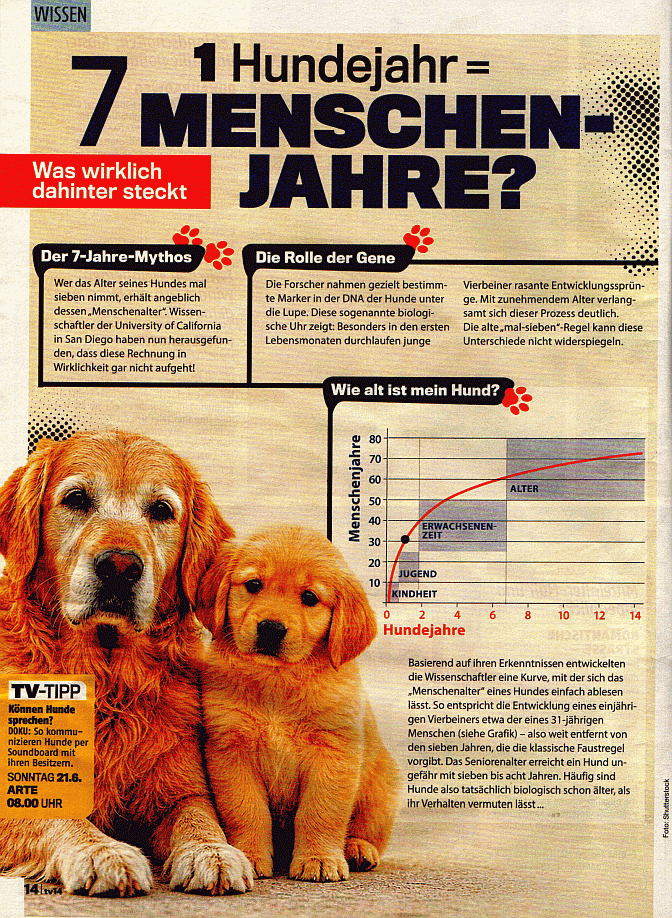 Seite 14 aus tv 14 Heft 13 / 2026